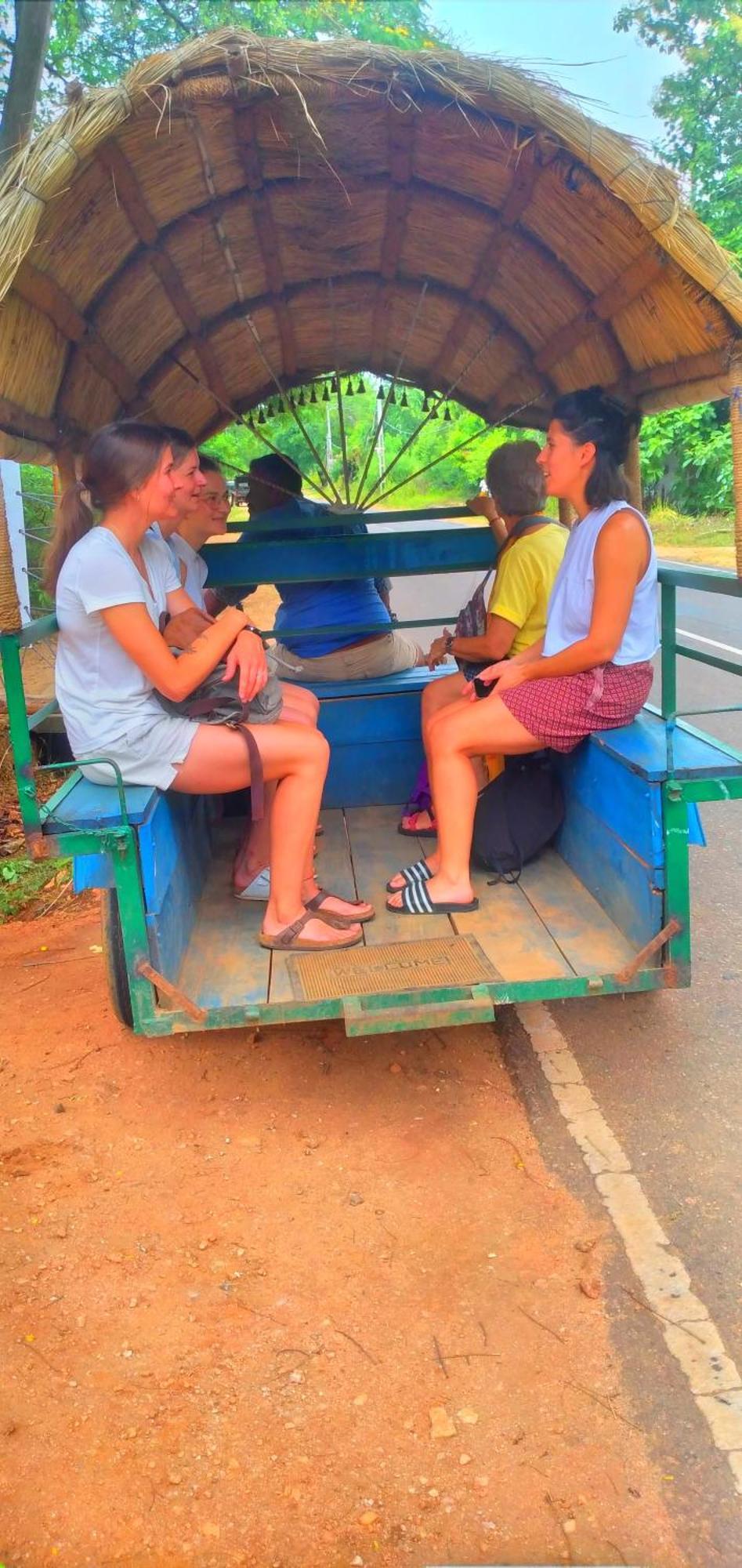 Sigiriya Nature Resort Bagian luar foto